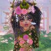 venus_dti_