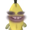 elianerufino4392