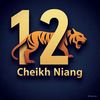 cheikh.niang12