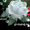yu85768