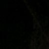 rinm_1v