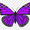 monitta646