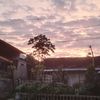 inibimabukanbimo