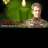 maryam.bashar861