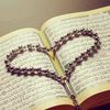 majeed.murad7