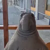 huh63
