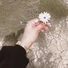 zahr5_27