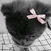 user7110819391253