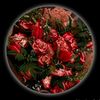 adil75533