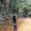 tehaubey.anggun
