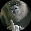 pravin