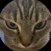 francmtsauu