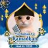ujangjaelani12