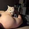 munum_munum_