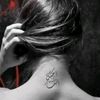 jojo.b842
