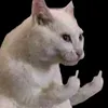 sdgjirvb0