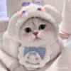 theinoo1562