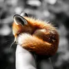 ai.animals.00
