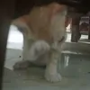 machalatte_2308212