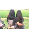 safa_laila_clorot