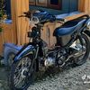 novanjunior160
