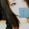the_ies