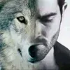 crazywewewolf888