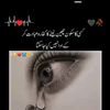 maaz.khan2524