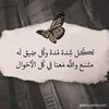 user4341239041518