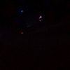daysi_332