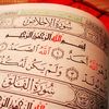 drmah.elgazzar