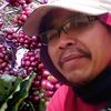 wong kebon