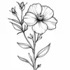 olivigcnvf6