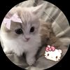 kitty.w.0