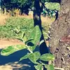 particulaalvaro.a