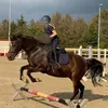 lotti.eq1