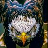 firoz_066