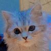 mariam.mostafa1192