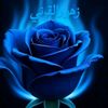 زهور القرني