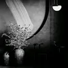 dounia2168