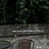 user77208206603336