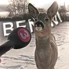 benim