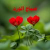 user4812542986837