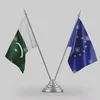 wajidineuropenculture
