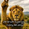issaygjml2t