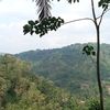 bingung19_93