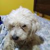 princesa.urrutia