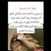 huda.alhameedi