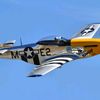 mustang.p517