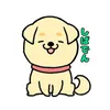 genba6danshi10